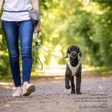 Cekar Store Stretch Comfort Leash Ruby M