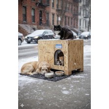 Cekar Store Reyo Kedi Evi Dış Ortam Uygun Ahşap Kedi Evi Osb 61X41X36 cm - CAT48