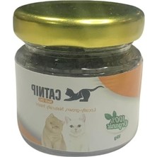 Cekar Store Doğal Kedi Otu (Catnip) 10 gr