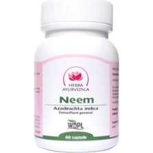 Herba Ayurvedica Neem (Azadirachta Indica) 60 Kapsül – Bitkisel Detoks Destekleyici