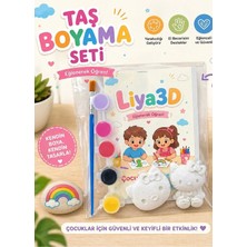 Liya3D Karakter Temalı Taş Boyama Seti