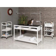 Veteriner Pet Bakım ve Muayene Masası | PROBED-6006