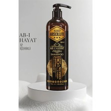 Motto Ticaret Mey Ithalat® Ab-I Hayat Nano Saç Şampuanı 12 Içerikli Absolute Professional 720015