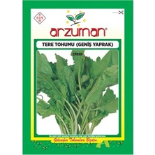 Arzuman Geniş Yapraklı Tere Tohumu-10 Gram
