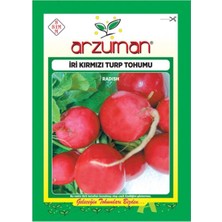 Arzuman Iri Kırmızı Antep Turp Tohumu-25 Gram