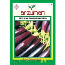 Arzuman Dayanıklı Kemer Patlıcan Tohumu-10 Gram