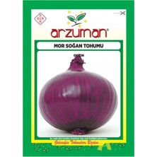 Arzuman Uzun Gün Mor Soğan Tohumu-5 Gram