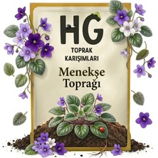 Hg Menekşe Toprağı
