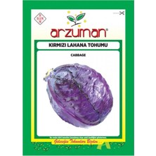 Arzuman Kırmızı-Mor Lahana Tohumu-10 Gram