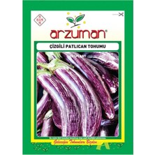 Arzuman Mor Beyaz Çizgili Patlıcan Tohumu-10 Gram