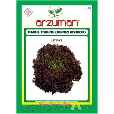 Arzuman Dikkat Çekici Kımızı Kıvırcık Marul Tohumu-5 Gram