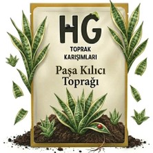 Hg Paşa Kılıcı (Sansevieria) Toprağı