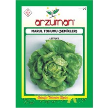 Arzuman Erkenci Şemikler Marul Tohumu-10 Gram