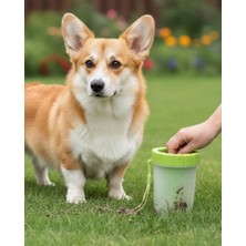 Motto Ticaret Mey Ithalat® Silikon Kıllı Köpek Pati Temizleme Kabı Orta Büyük Irklar Için Taşınabilir