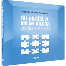 Dil Biisi ve Anlam Biisi Çözümlemeleri