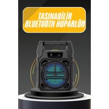Zero Land Cosmotex Karaoke Mikrofonlu Fm Radyolu Bluetooth Hoparlör Yüksek Ses Kaliteli