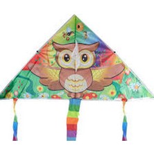 Toyfest Renkli Uçurtma