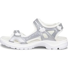 Ecco Offroad
