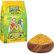 Jungle Yumurtalı Kuş Maması Zengin İçerik 100 gr Yavru Kuşlar İçin Enerji Desteği