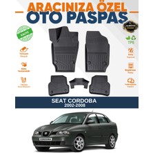 Alberto Rossi Alberto Rossı Seat  Cordoba 2002-2008 3D Havuzlu Paspas