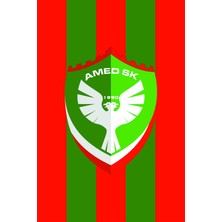 Bayrak Online 100 x 150CM Raşel Kumaş Amed Spor Bayrağı