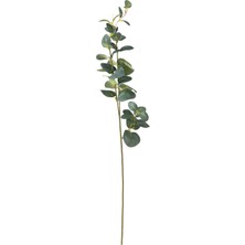 Mudo Home AURA DAL ÇİÇEK 70 CM