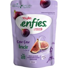 Yayla Enfies Freeze Dried Incir 20GR