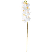 Mudo Home ORKİDE DAL ÇİÇEK BEYAZ 92 CM