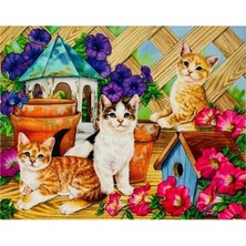 Atlas Hobi Hı Stone 5d Elmas Boncuk Taş Işleme Mozaik Goblen Kit 50X40CM