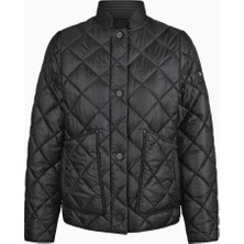 Pikeur Quilted Jacket 1016 College Yaka Lüks Kadın Mont