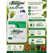 AgroTez Imagine Kalsiyum (Kalsiyum Nitrat Çözeltisi) Güçlü ve Dayanıklı Bitkiler Için 5lt