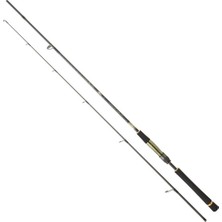 Daiwa Crosscast S Df 244 cm 10-35 gr Spin Kamış