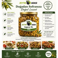 Yağlı Izgara Yeşil Zeytin Xl Boy