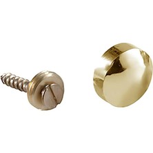 Kazini Dekoratif Krom Başlı Vida 13MM,15MM,20MM