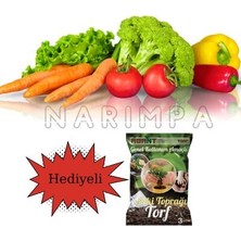 Narım 100 Adet Karışık Sebze Tohumu + Toprak Hediyeli
