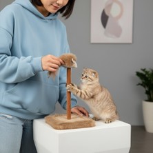 Lady Fify Kedi ve Köpek Için Ses Çıkaran Oyuncaklı ve Dayanıklı Kedi Tırmalama Tahtası