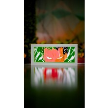 Jade Produck One Piece - Zoro LED Işık Kutusu