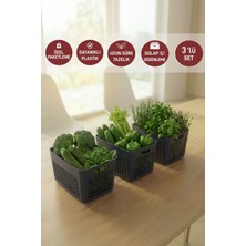 Selka Home Lavin 3 Adet Küçük Boy Mutfak Banyo ve Dolap İçi Düzenleyici