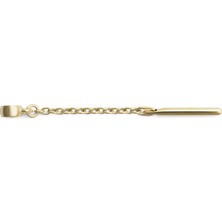 Daniel Wellington DW00401485 Takı