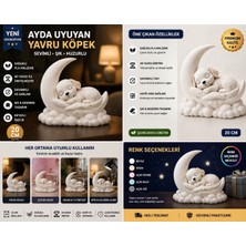 3D Boyuthane Ayda Uyuyan Yavru Köpek Biblo 20 cm