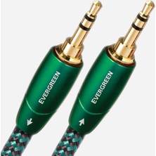 Audioquest Evergreen 3,5mm-3,5mm Aux Kablo 2 mt