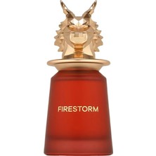 French Avenue Firestorm Edp 100 ml Unisex Parfüm