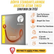 Pitbull Strings Silver Series Sag 10-47 Sl Takım Tel Akustik Gitar Teli 010-047