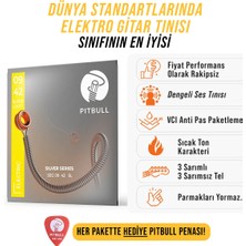 Pitbull Strings Silver Series Seg 09-42 Sl Takım Tel Elektro Gitar Teli