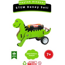 Lapin Eğitim Hizmetleri Paytak Dinozor – Kendin Yap Stem Bilim ve Deney Seti – Dıy Montessori Eğitim – Maker Set