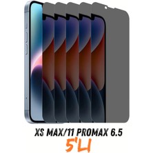 PSGT Iphone Xs MAX/11PRO Max 6.5 Uyumlu Tam Kaplayan Hayalet Seramik Ekran Koruyucu Kırılmaz Cam Filmi