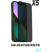PSGT 5 Adet Sam A16/A17/A26/M16/F16 Hayalet Ekran Koruyucu Kırılmaz Cam Privacy Yandan Görünmez