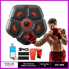 Epilons Boks Makinesi Eldiven Ile Beraber