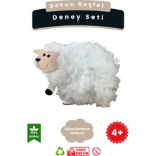 Lapin Deney Atölyesi Dokun Keşfet – Kendin Yap Stem Bilim ve Deney Seti