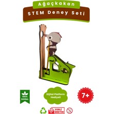 Lapin Deney Atölyesi Ağaçkakan – Kendin Yap Stem Bilim ve Deney Seti
